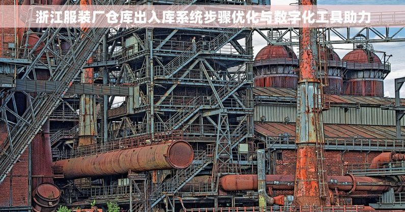 浙江服装厂仓库出入库系统步骤优化与数字化工具助力 浙江服装厂仓库出入库系统步骤优化与数字化工具助力