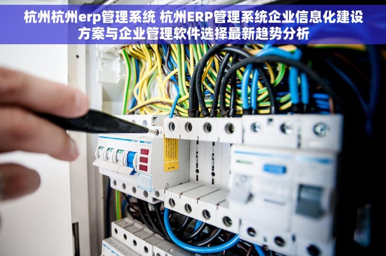 杭州杭州erp管理系统 杭州ERP管理系统企业信息化建设方案与企业管理软件选择最新趋势分析 杭州杭州erp管理系统 杭州ERP管理系统企业信息化建设方案与企业管理软件选择最新趋势分析