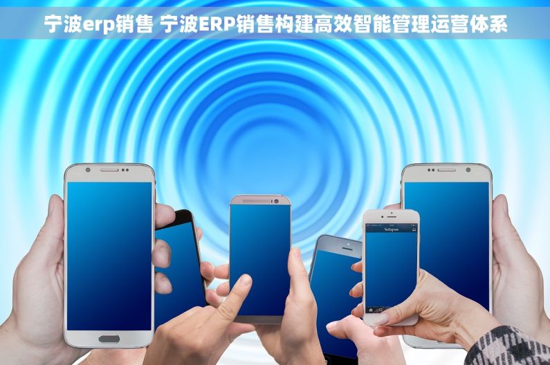 宁波erp销售 宁波ERP销售构建高效智能管理运营体系 宁波erp销售 宁波ERP销售构建高效智能管理运营体系