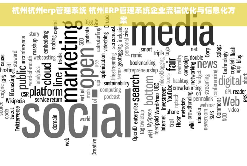 杭州杭州erp管理系统 杭州ERP管理系统企业流程优化与信息化方案 杭州杭州erp管理系统 杭州ERP管理系统企业流程优化与信息化方案