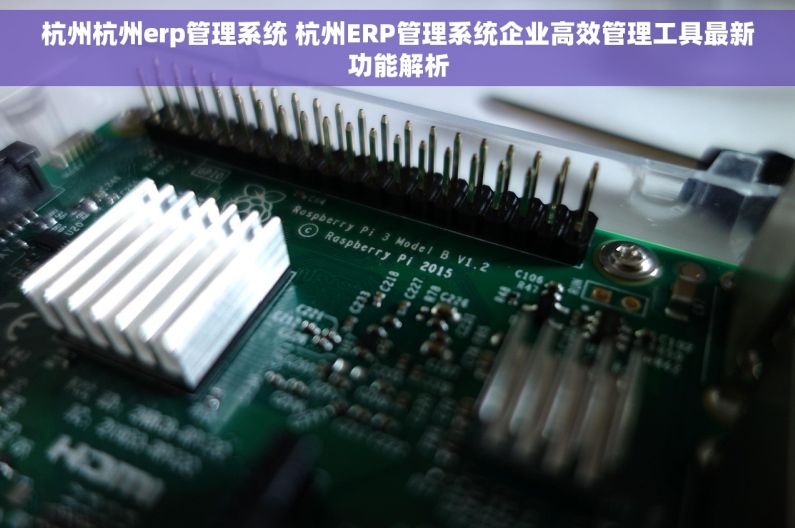 杭州杭州erp管理系统 杭州ERP管理系统企业高效管理工具最新功能解析 杭州杭州erp管理系统 杭州ERP管理系统企业高效管理工具最新功能解析