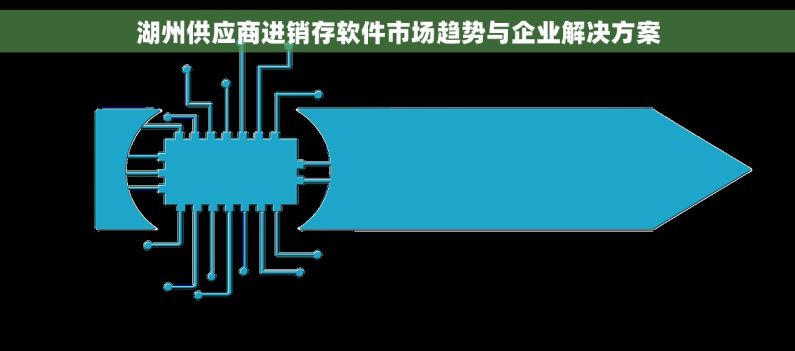 湖州供应商进销存软件市场趋势与企业解决方案