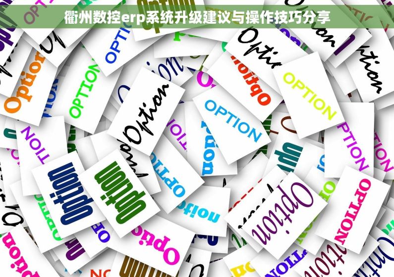 衢州数控erp系统升级建议与操作技巧分享 衢州数控erp系统升级建议与操作技巧分享