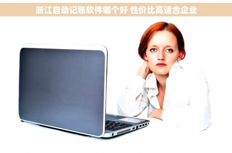 浙江自动记账软件哪个好 性价比高适合企业