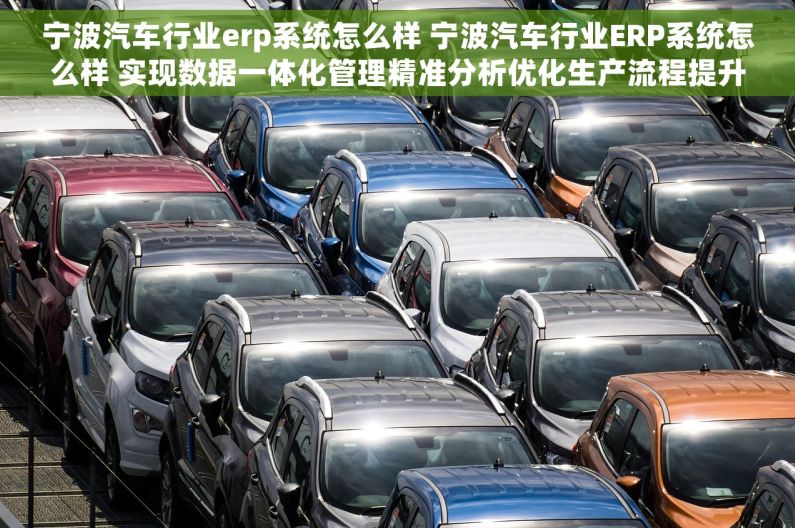 宁波汽车行业erp系统怎么样 宁波汽车行业ERP系统怎么样 实现数据一体化管理精准分析优化生产流程提升运营效率 宁波汽车行业erp系统怎么样 宁波汽车行业ERP系统怎么样 实现数据一体化管理精准分析优化生产流程提升运营效率