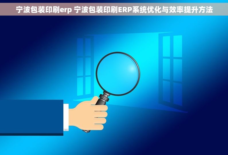 宁波包装印刷erp 宁波包装印刷ERP系统优化与效率提升方法
