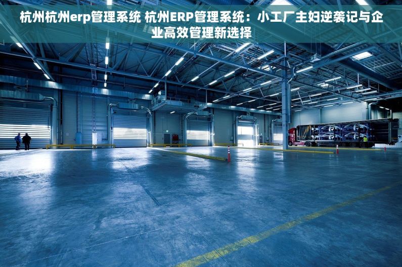 杭州杭州erp管理系统 杭州ERP管理系统:小工厂主妇逆袭记与企业高效管理新选择 杭州杭州erp管理系统 杭州ERP管理系统:小工厂主妇逆袭记与企业高效管理新选择