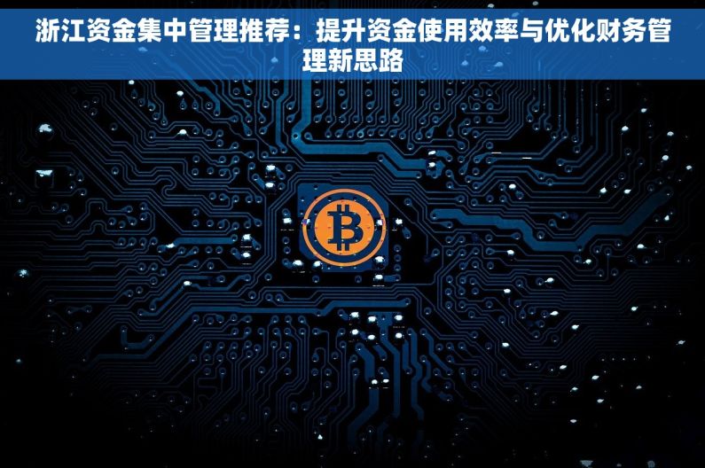 浙江资金集中管理推荐:提升资金使用效率与优化财务管理新思路 浙江资金集中管理推荐:提升资金使用效率与优化财务管理新思路