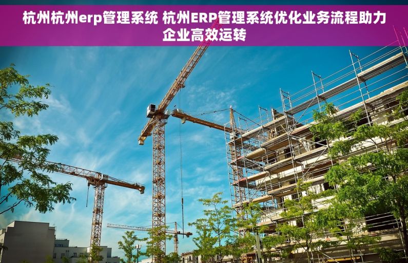 杭州杭州erp管理系统 杭州ERP管理系统优化业务流程助力企业高效运转 杭州杭州erp管理系统 杭州ERP管理系统优化业务流程助力企业高效运转