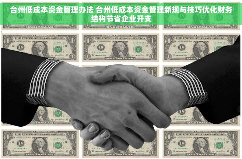 台州低成本资金管理办法 台州低成本资金管理新规与技巧优化财务结构节省企业开支 台州低成本资金管理办法 台州低成本资金管理新规与技巧优化财务结构节省企业开支