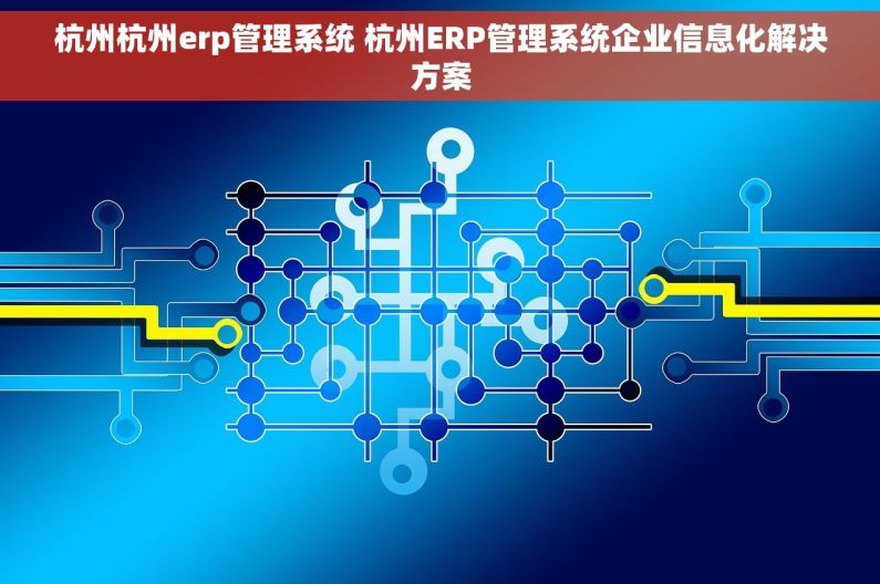 杭州杭州erp管理系统 杭州ERP管理系统企业信息化解决方案
