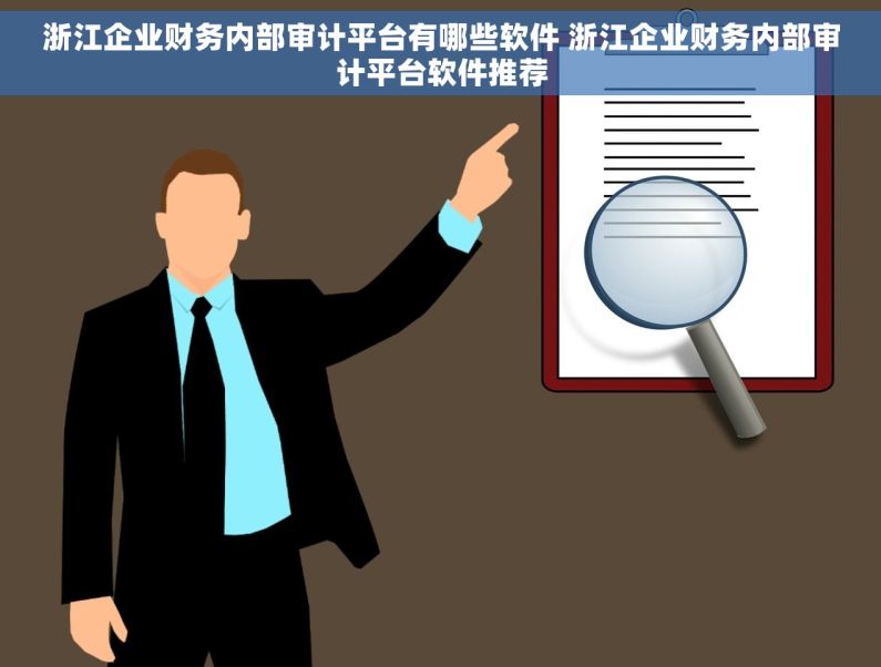 浙江企业财务内部审计平台有哪些软件 浙江企业财务内部审计平台软件推荐 浙江企业财务内部审计平台有哪些软件 浙江企业财务内部审计平台软件推荐