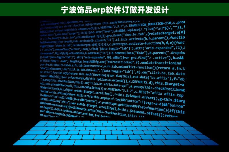 宁波饰品erp软件订做开发设计 宁波饰品erp软件订做开发设计