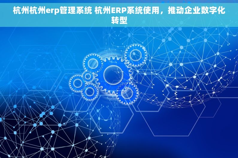 杭州杭州erp管理系统 杭州ERP系统使用,推动企业数字化转型 杭州杭州erp管理系统 杭州ERP系统使用,推动企业数字化转型