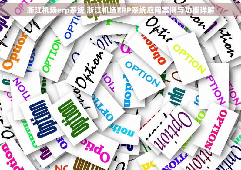 浙江机场erp系统 浙江机场ERP系统应用案例与功能详解 浙江机场erp系统 浙江机场ERP系统应用案例与功能详解
