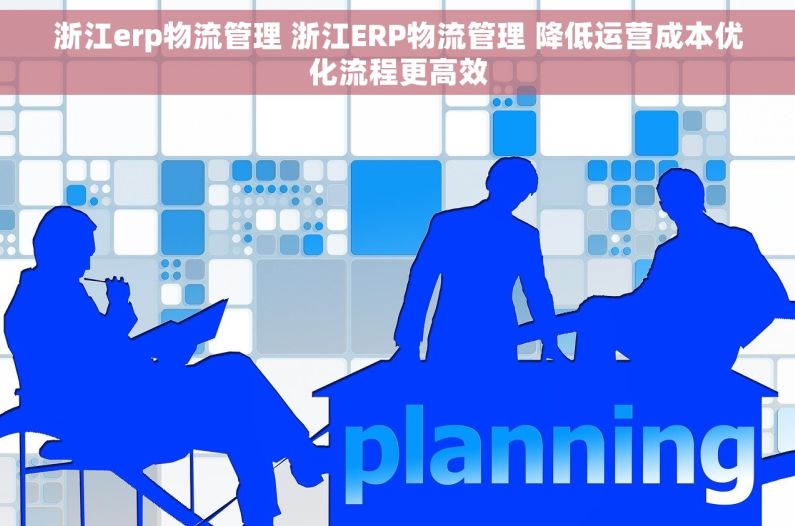 浙江erp物流管理 浙江ERP物流管理 降低运营成本优化流程更高效