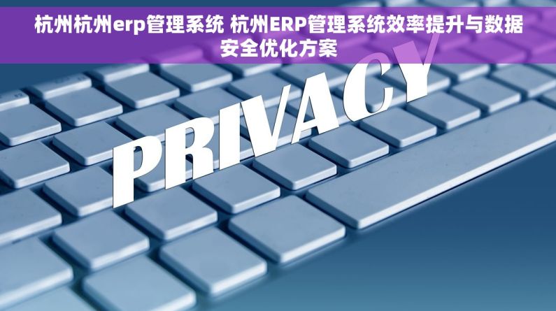杭州杭州erp管理系统 杭州ERP管理系统效率提升与数据安全优化方案 杭州杭州erp管理系统 杭州ERP管理系统效率提升与数据安全优化方案
