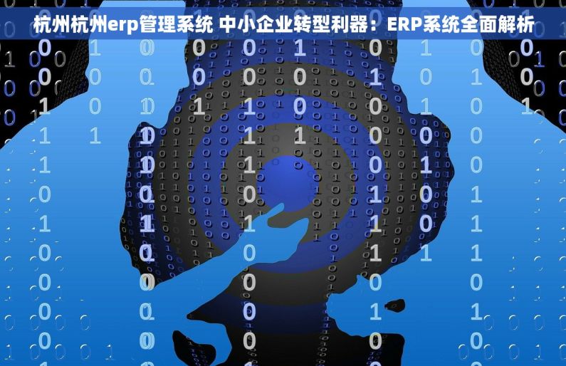 杭州杭州erp管理系统 中小企业转型利器：ERP系统全面解析