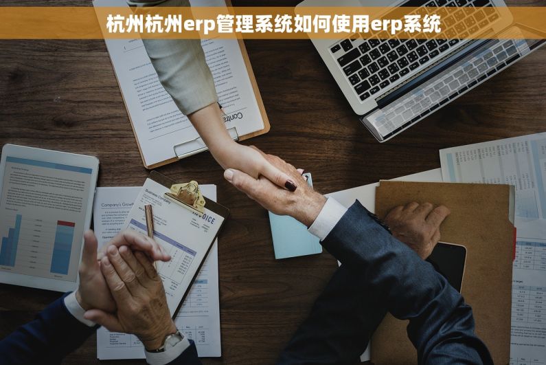 杭州杭州erp管理系统如何使用erp系统 杭州杭州erp管理系统如何使用erp系统