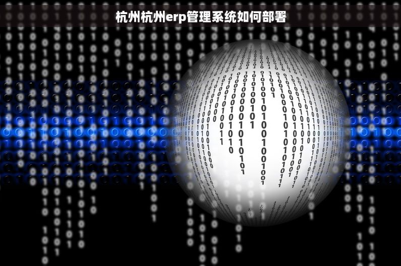 杭州杭州erp管理系统如何部署 杭州杭州erp管理系统如何部署