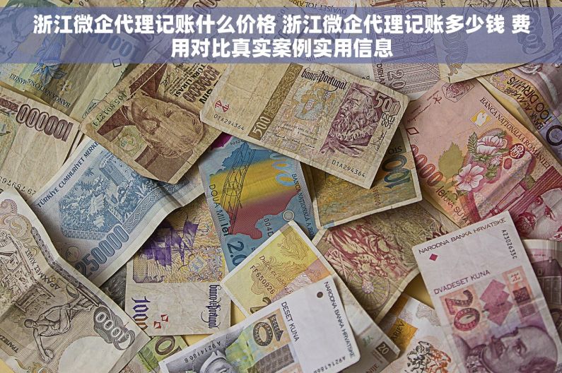 浙江微企代理记账什么价格 浙江微企代理记账多少钱 费用对比真实案例实用信息