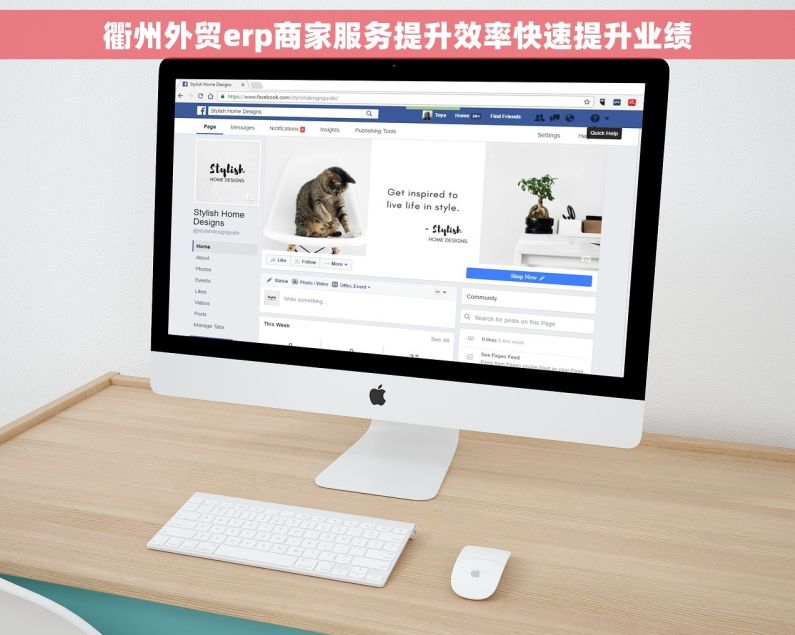 衢州外贸erp商家服务提升效率快速提升业绩