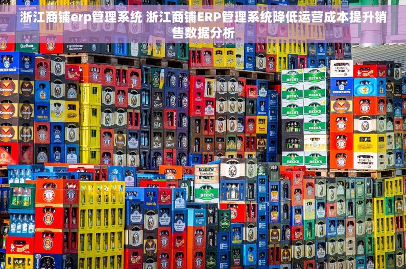 浙江商铺erp管理系统 浙江商铺ERP管理系统降低运营成本提升销售数据分析