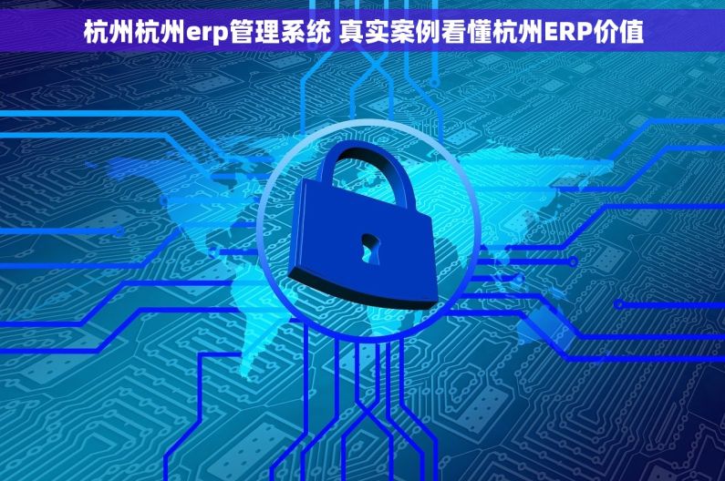 杭州杭州erp管理系统 真实案例看懂杭州ERP价值