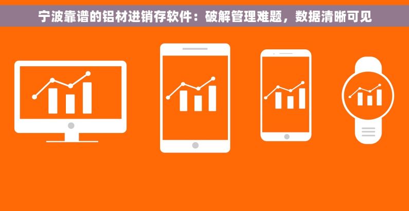 宁波靠谱的铝材进销存软件：破解管理难题，数据清晰可见