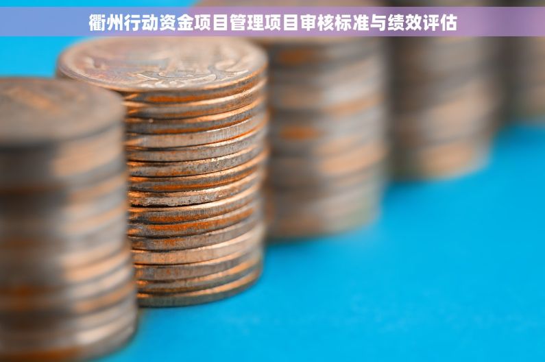 衢州行动资金项目管理项目审核标准与绩效评估 衢州行动资金项目管理项目审核标准与绩效评估