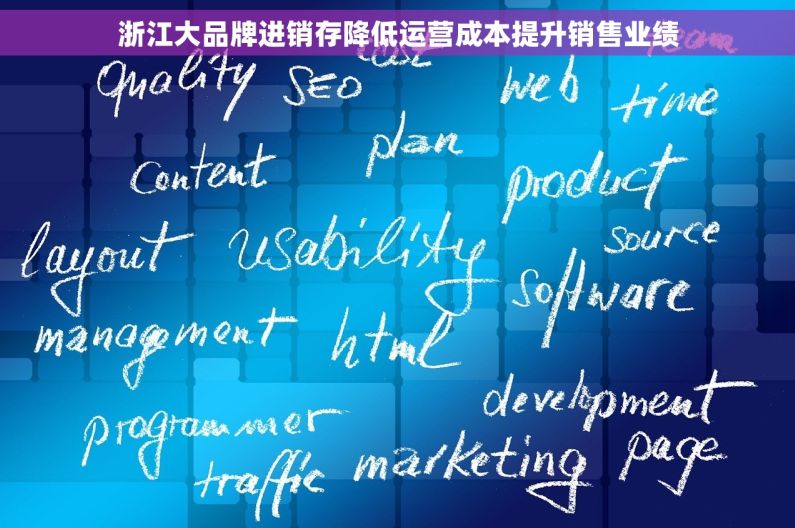 浙江大品牌进销存降低运营成本提升销售业绩 浙江大品牌进销存降低运营成本提升销售业绩