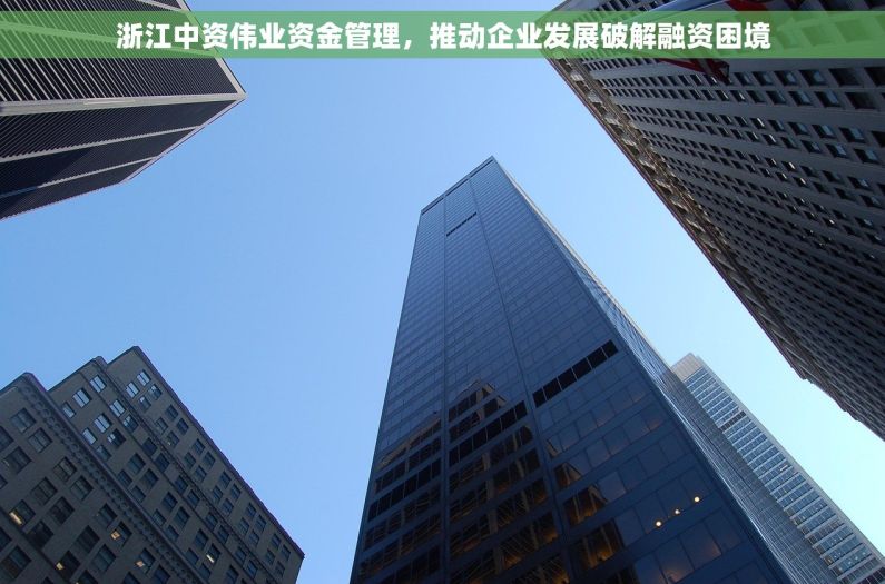 浙江中资伟业资金管理，推动企业发展破解融资困境