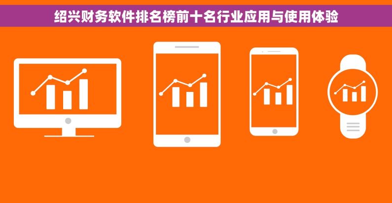 绍兴财务软件排名榜前十名行业应用与使用体验