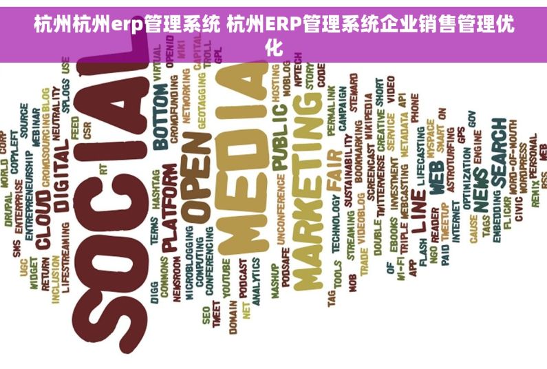 杭州杭州erp管理系统 杭州ERP管理系统企业销售管理优化