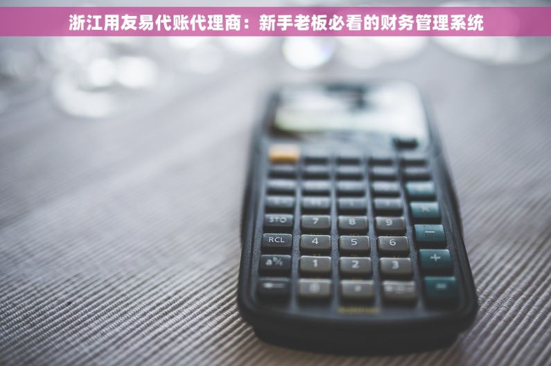 浙江用友易代账代理商:新手老板必看的财务管理系统 浙江用友易代账代理商:新手老板必看的财务管理系统