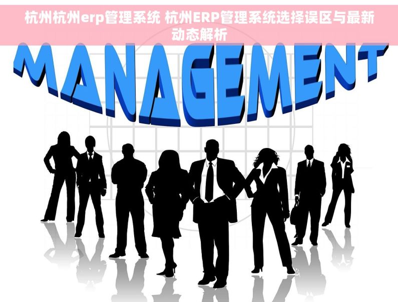 杭州杭州erp管理系统 杭州ERP管理系统选择误区与最新动态解析