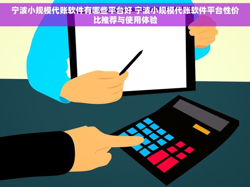 宁波小规模代账软件有哪些平台好 宁波小规模代账软件平台性价比推荐与使用体验