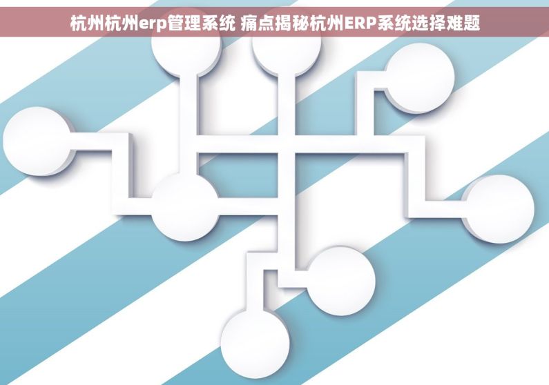 杭州杭州erp管理系统 痛点揭秘杭州ERP系统选择难题