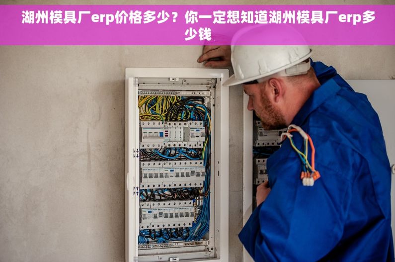 湖州模具厂erp价格多少?你一定想知道湖州模具厂erp多少钱 湖州模具厂erp价格多少?你一定想知道湖州模具厂erp多少钱