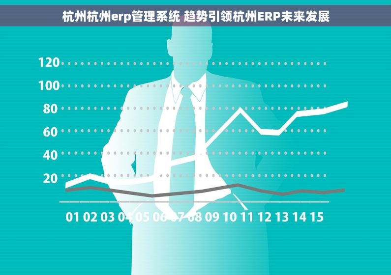 杭州杭州erp管理系统 趋势引领杭州ERP未来发展