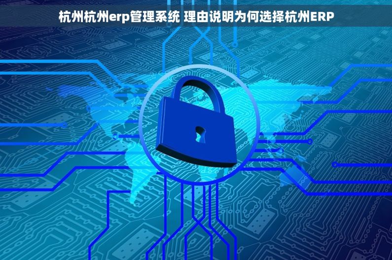 杭州杭州erp管理系统 理由说明为何选择杭州ERP