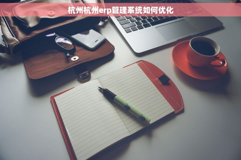 杭州杭州erp管理系统如何优化