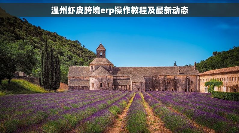 温州虾皮跨境erp操作教程及最新动态 温州虾皮跨境erp操作教程及最新动态