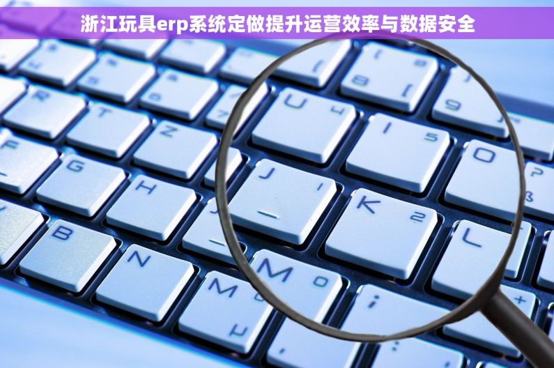 浙江玩具erp系统定做提升运营效率与数据安全