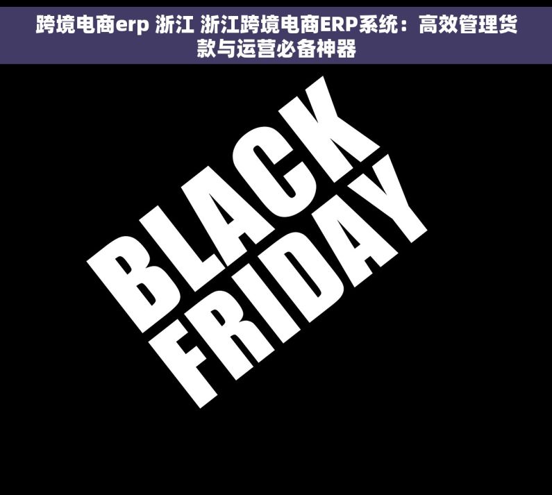 跨境电商erp 浙江 浙江跨境电商ERP系统：高效管理货款与运营必备神器
