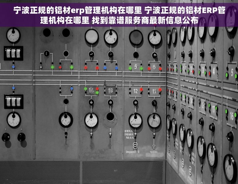 宁波正规的铝材erp管理机构在哪里 宁波正规的铝材ERP管理机构在哪里 找到靠谱服务商最新信息公布 宁波正规的铝材erp管理机构在哪里 宁波正规的铝材ERP管理机构在哪里 找到靠谱服务商最新信息公布