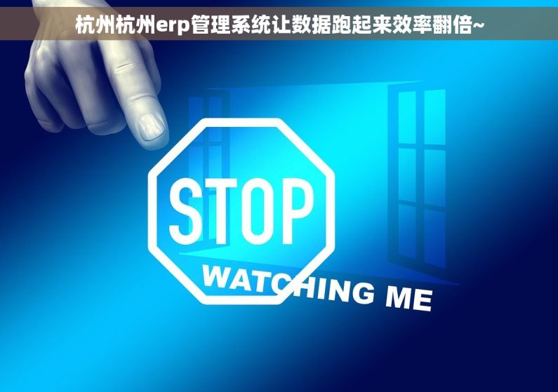 杭州杭州erp管理系统让数据跑起来效率翻倍~