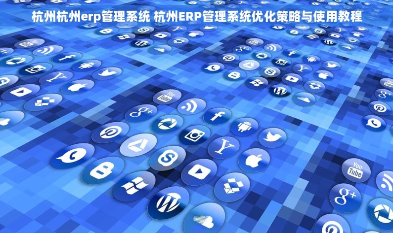 杭州杭州erp管理系统 杭州ERP管理系统优化策略与使用教程