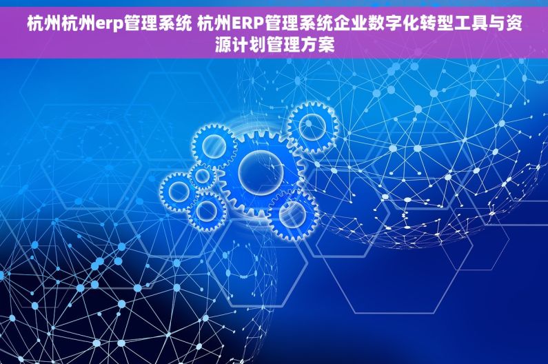 杭州杭州erp管理系统 杭州ERP管理系统企业数字化转型工具与资源计划管理方案 杭州杭州erp管理系统 杭州ERP管理系统企业数字化转型工具与资源计划管理方案