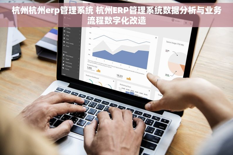 杭州杭州erp管理系统 杭州ERP管理系统数据分析与业务流程数字化改造